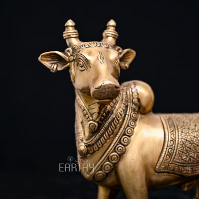 gold brass nandi statue, closeup