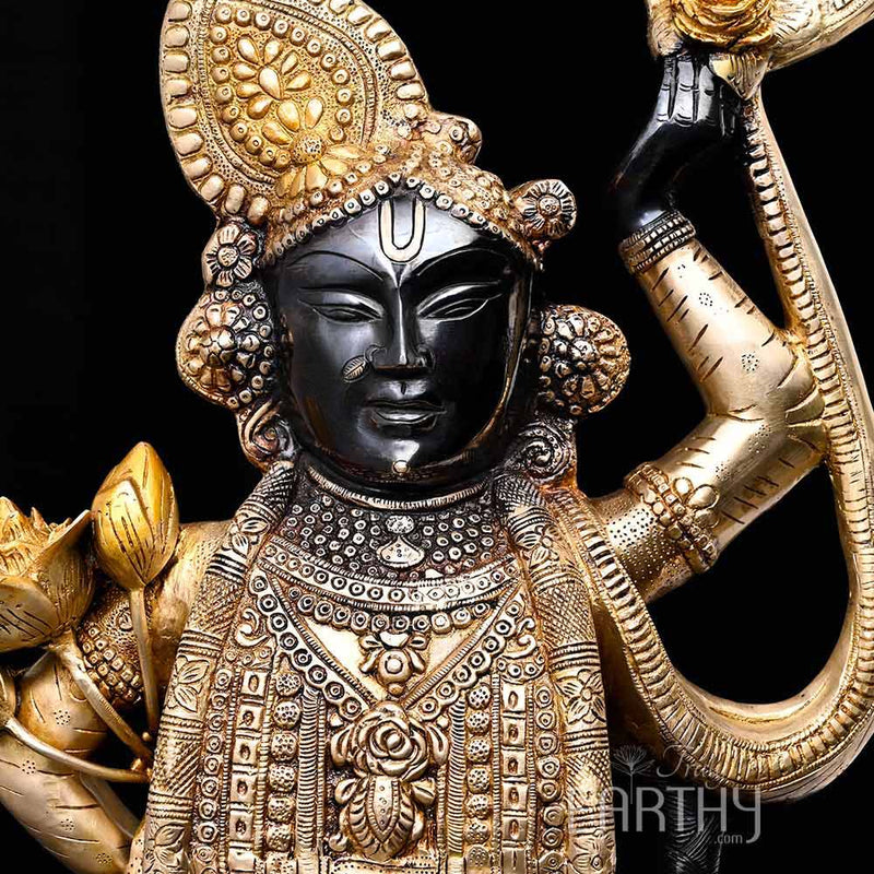 shrinathji statue, closeup