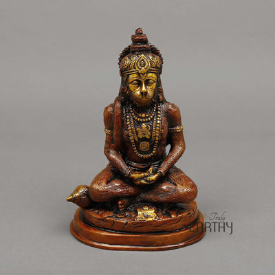 brass hanuman ji statue