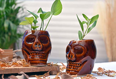 Exclusive Ceramic Human Skull Planter Pot - Set of 2 (Without Plant).