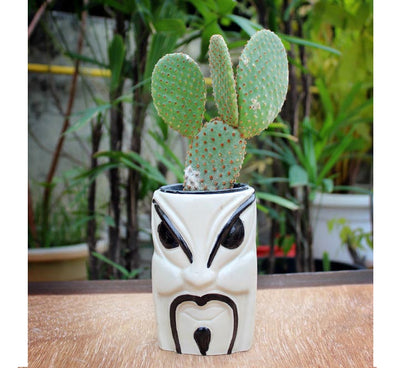Angry Men Ceramic Planter – Set of 2 (without Plant).
